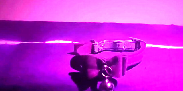 bdsm,bhabhi,bondage,chudai,desi,hindi,indian,mms,