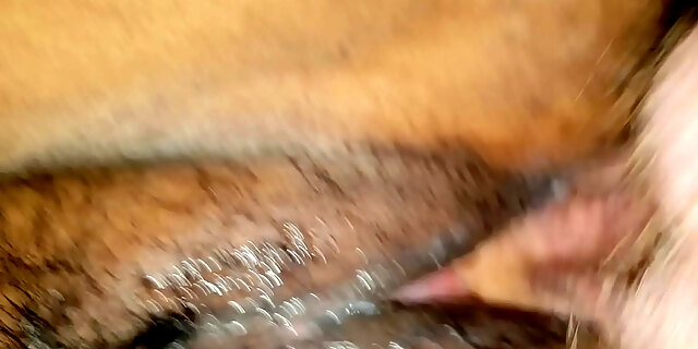 furry,indian,pussy,wet,
